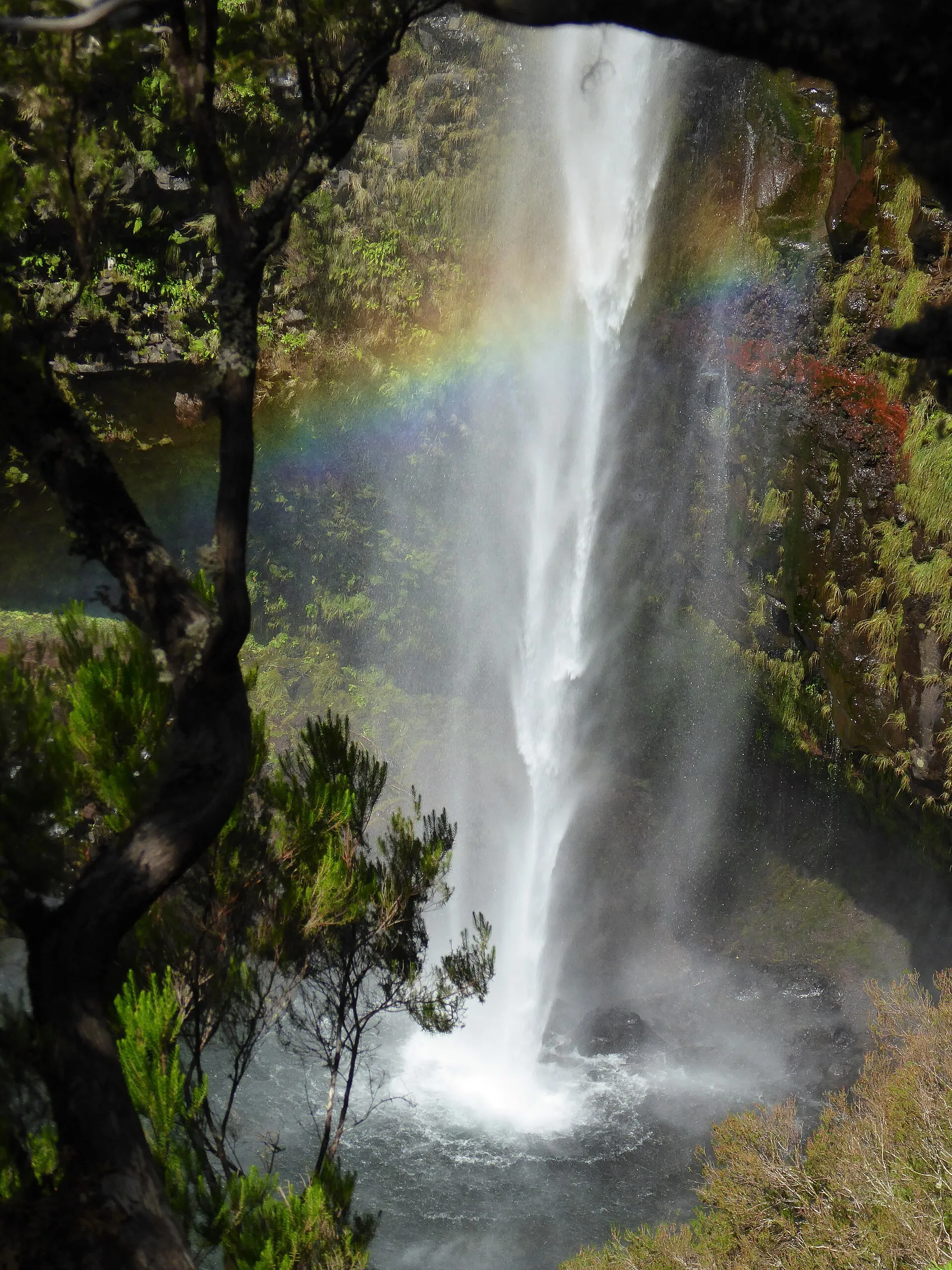 PR 6.3, Vereda da Lagoa do Vento