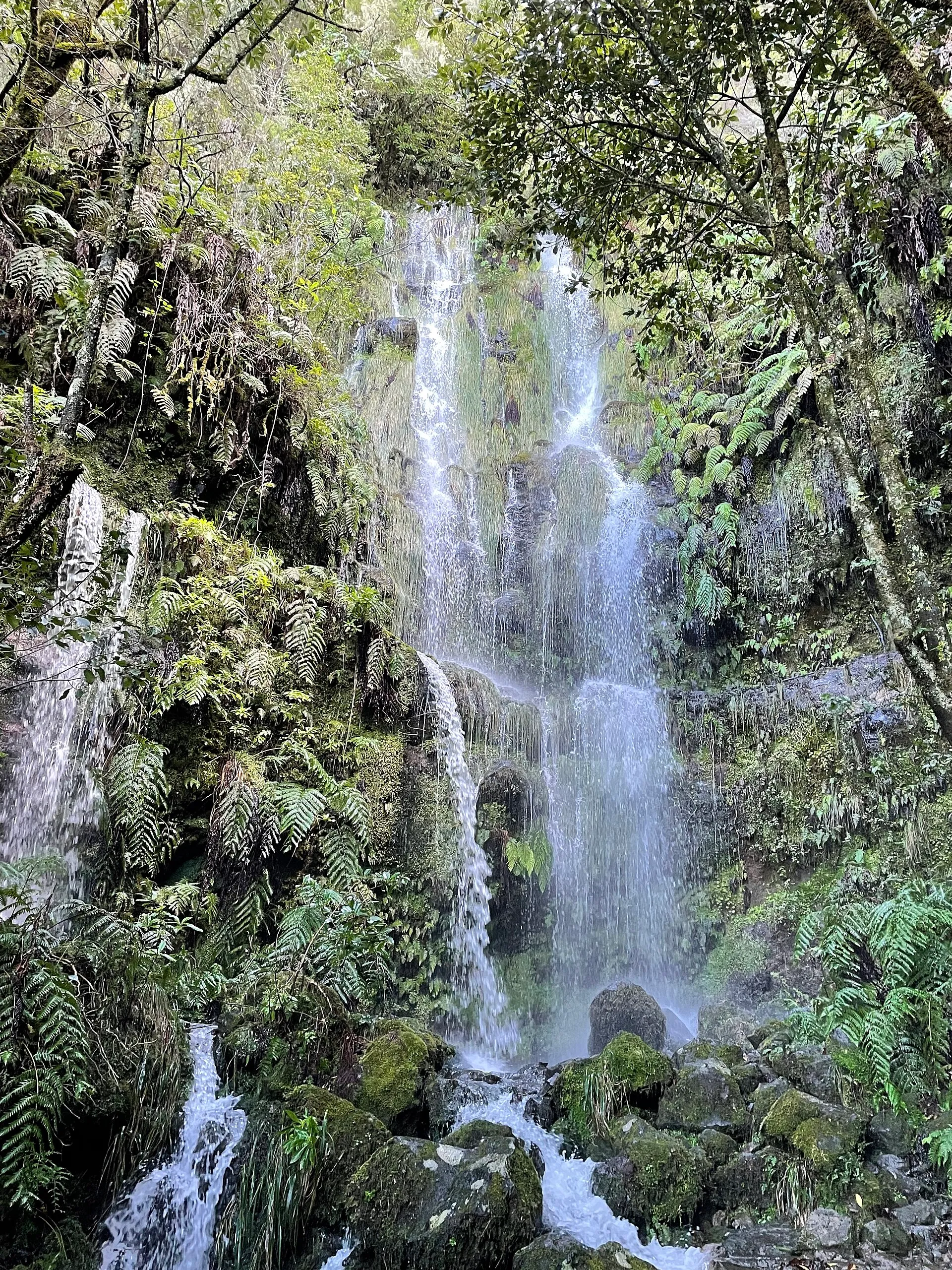 PR 9, Levada do Caldeirão Verde