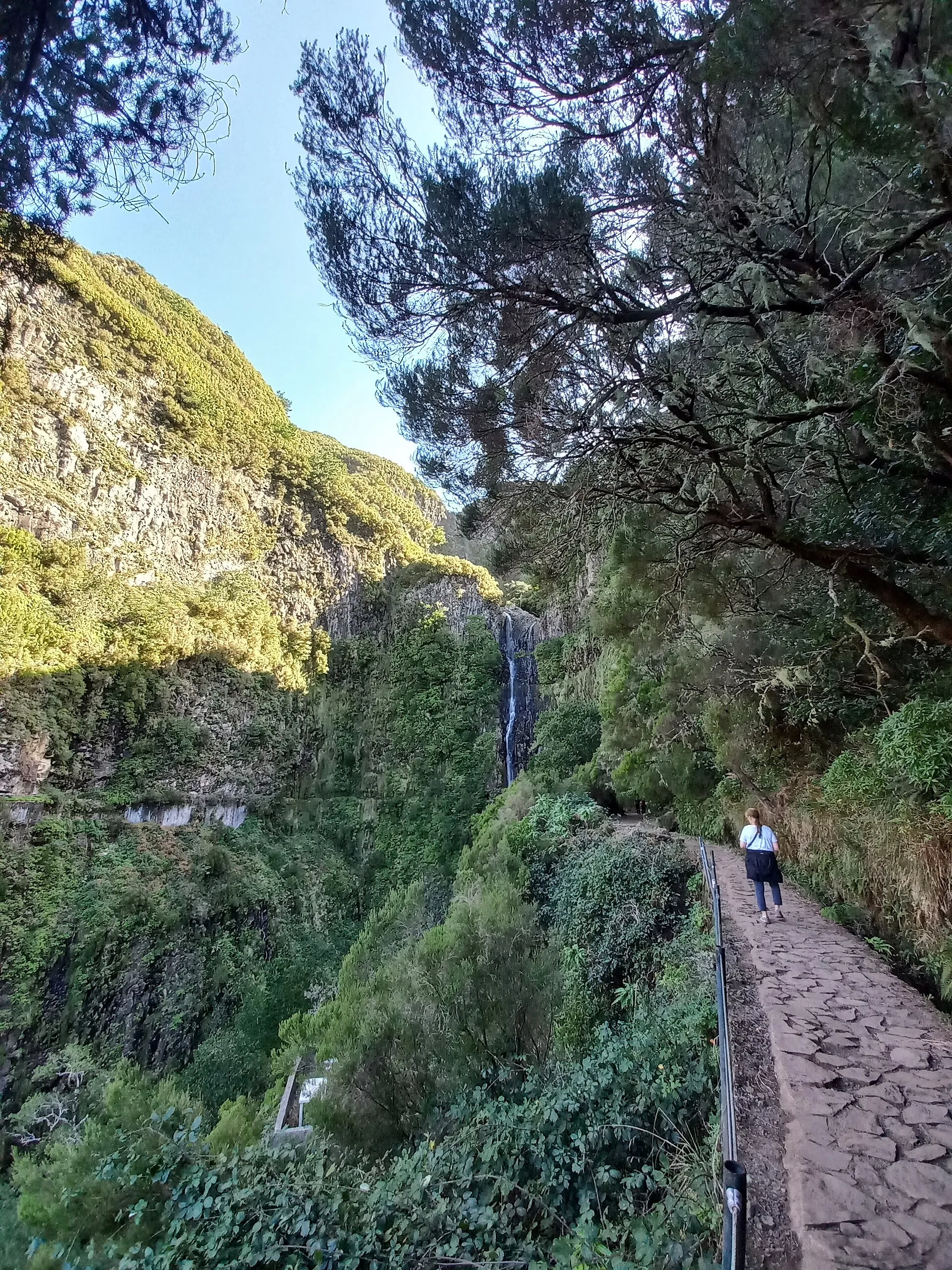 PR 6.1, Levada do Risco
