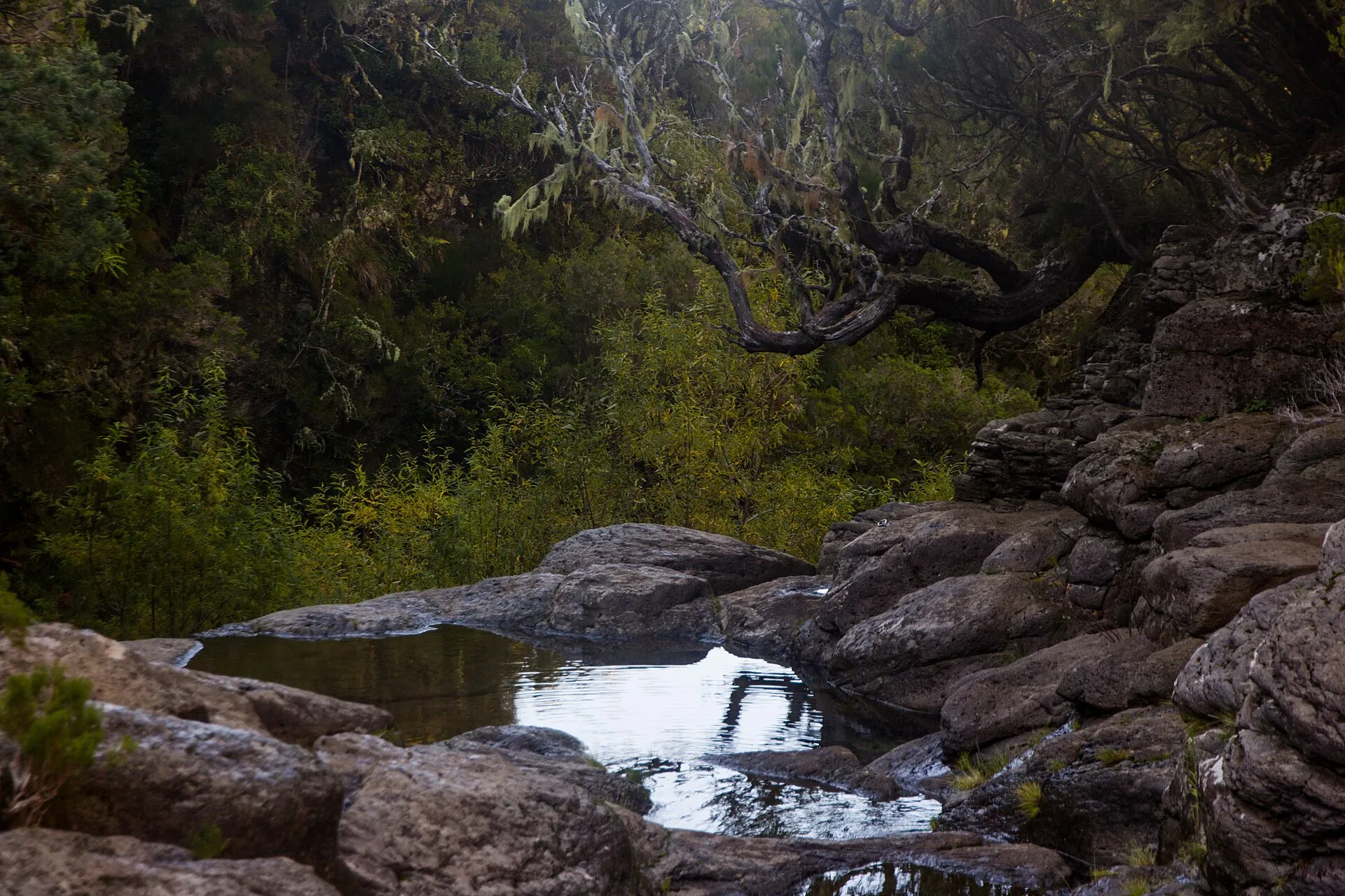 PR 6.2, Levada do Alecrim